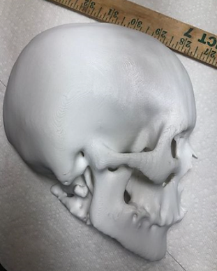 Half Skull(Vertical)