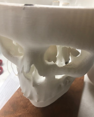 Half Skull(Horizontal)